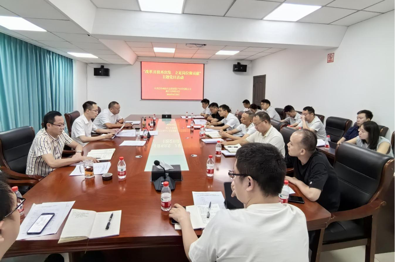 巴中兩山公司開展“改革開放再出發(fā)、立足崗位做貢獻(xiàn)”主題黨日活動